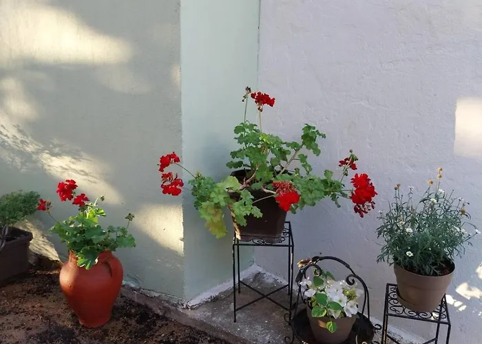 πραβιτάδικο * Arnaia