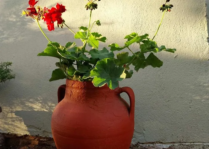 πραβιτάδικο Arnaia