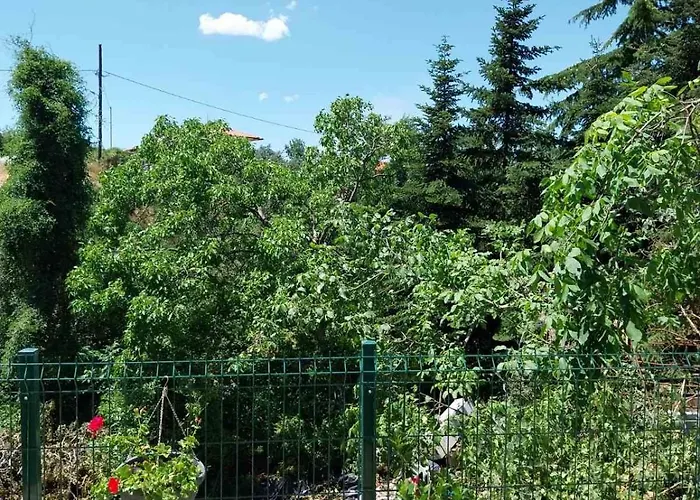 πραβιτάδικο