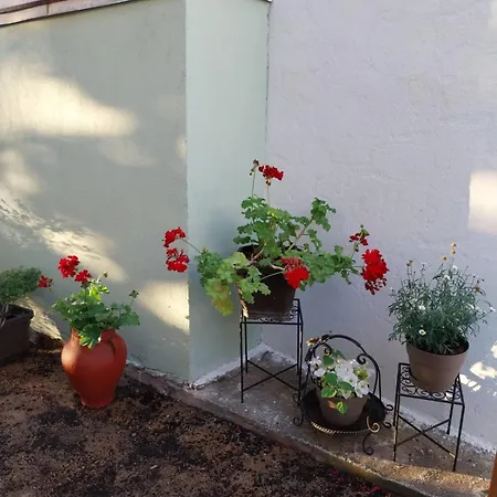 πραβιτάδικο * Arnaia