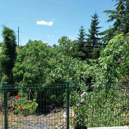 πραβιτάδικο